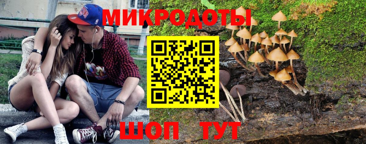 Канаш  Галлюциногенные грибы мицелий  Вход с VPN 