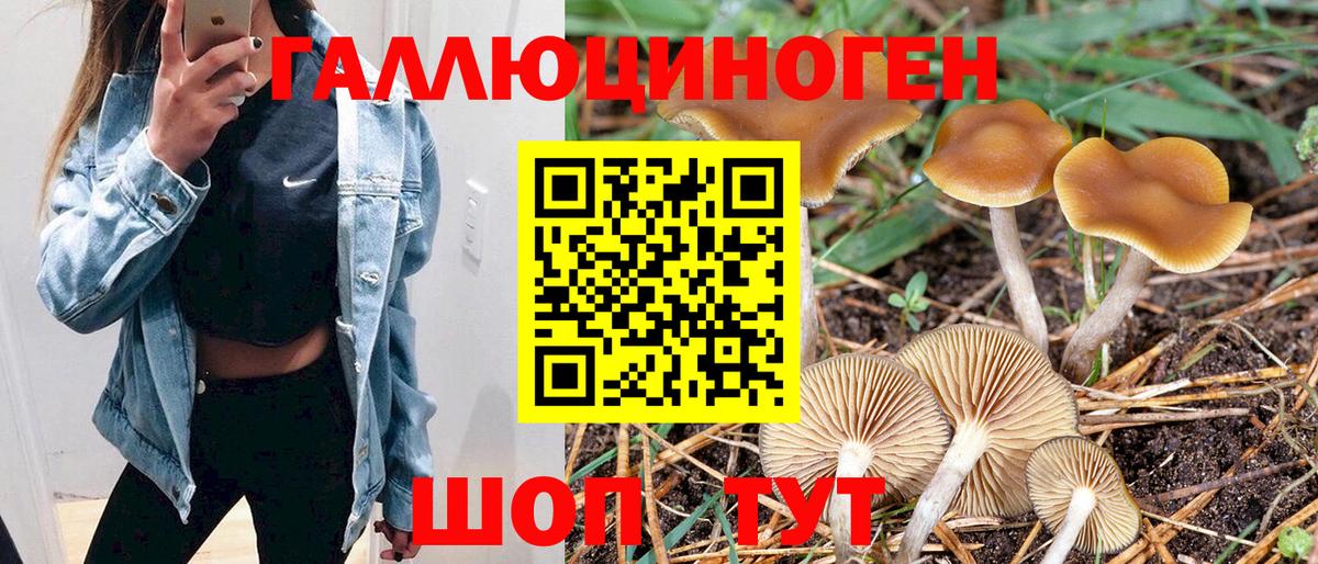 МЕТАДОН Канаш