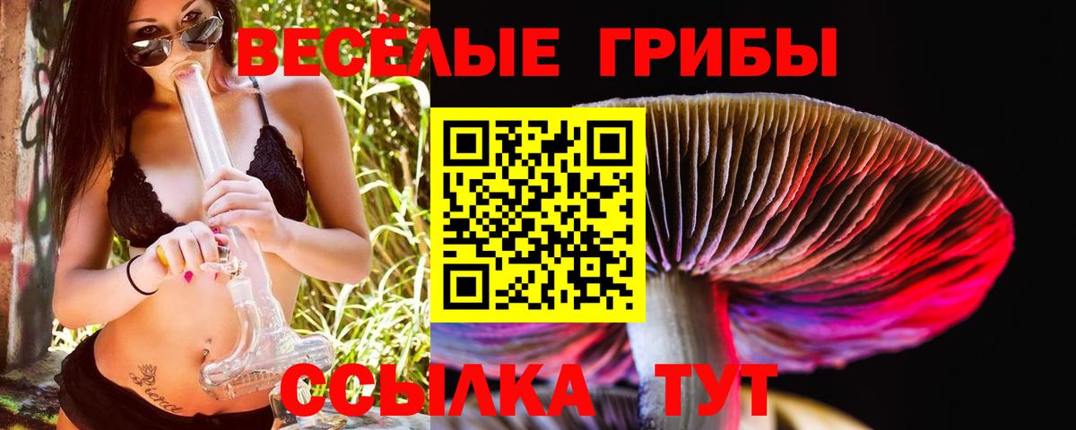 Псилоцибиновые грибы Psilocybe Канаш